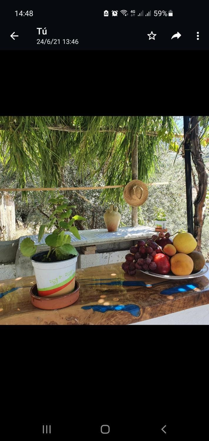 Casa papi House in Axarquía