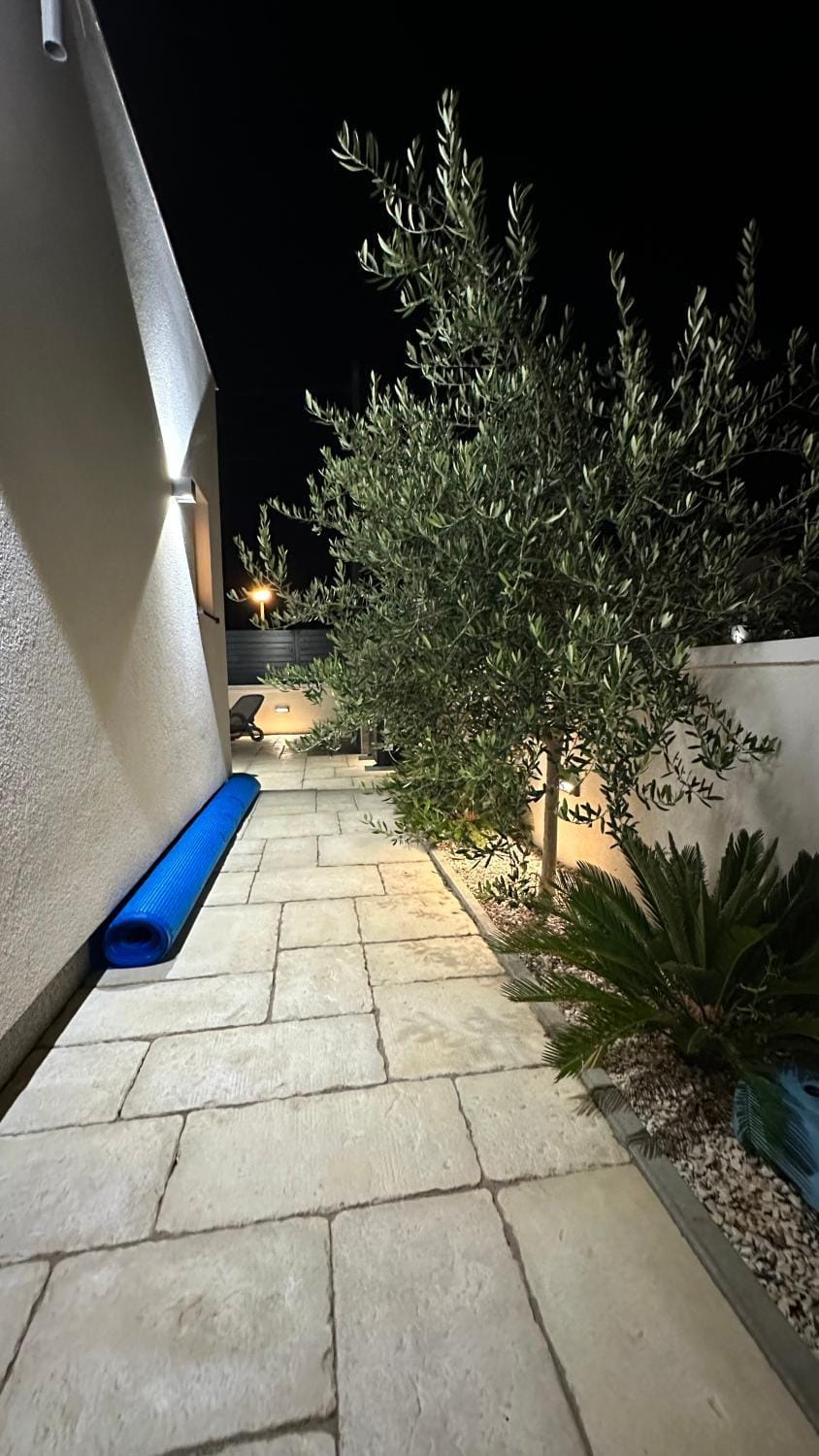 Night, Garden, Garden view
