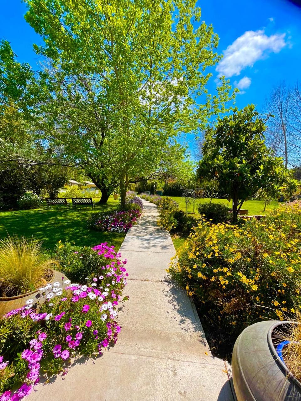 Spring, Garden