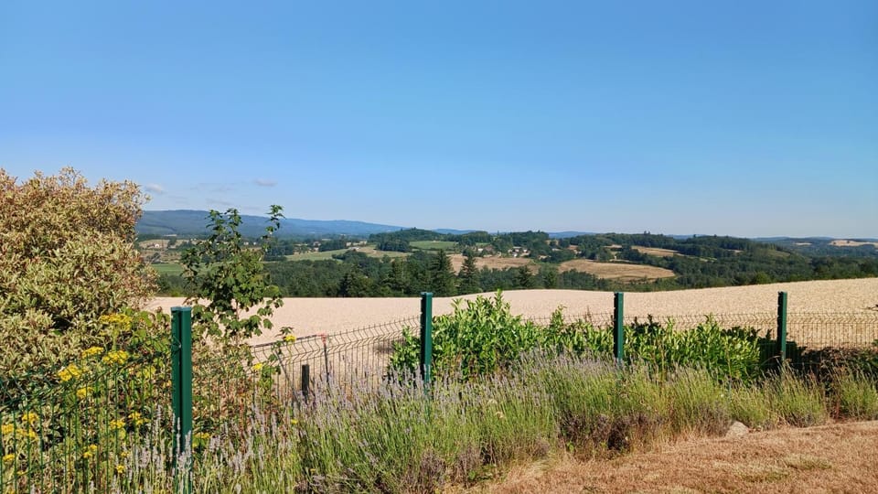 View (from property/room)