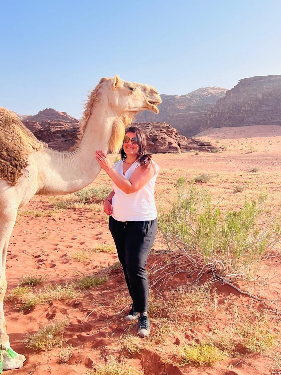 Wadi rum Moon Iight Camp Bed and Breakfast in South District