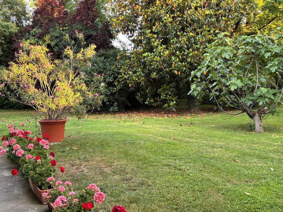Acero Giallo Bed and Breakfast in Parma