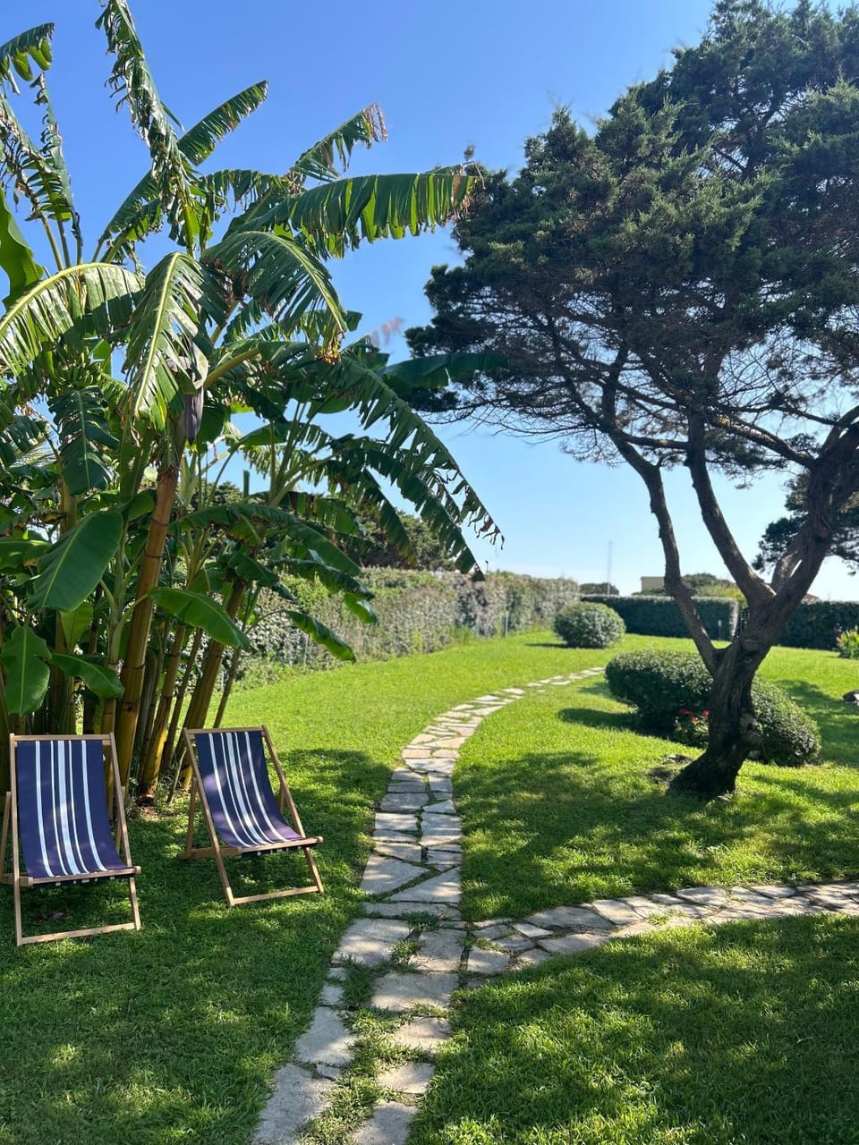 Day, Garden, View (from property/room), Balcony/Terrace, Garden view