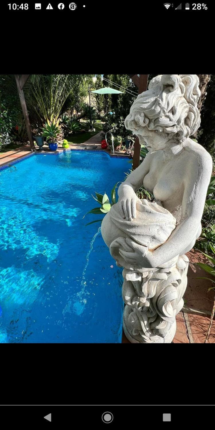 Garden, Swimming pool