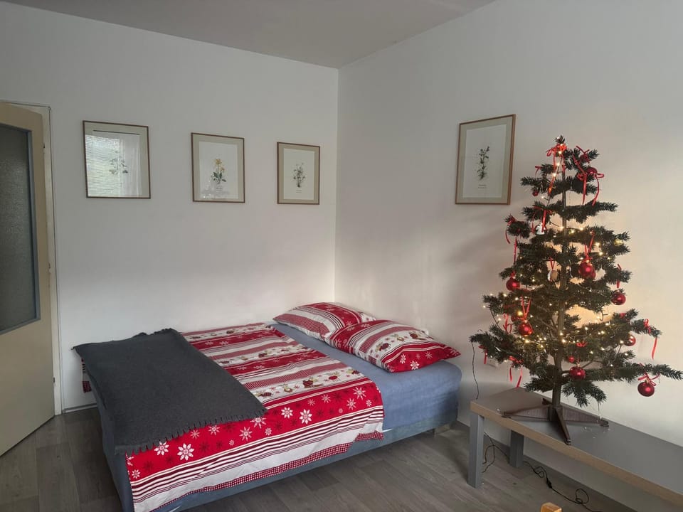Slunný byt v Jizerských horách 5 postelí Apartment in Lower Silesian Voivodeship