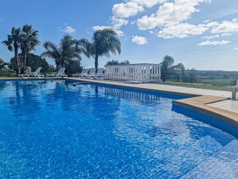 Day, Pool view, Swimming pool