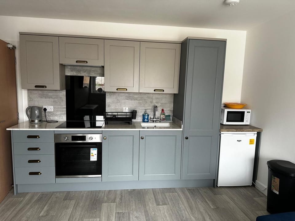 Coffee/tea facilities, Kitchen or kitchenette, oven, stove