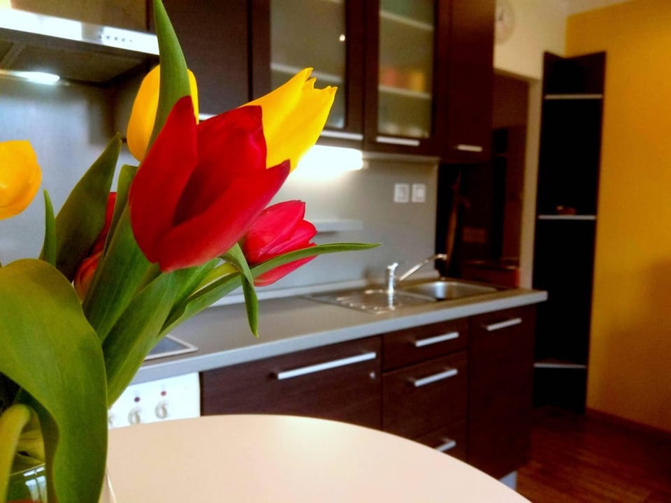 Kitchen or kitchenette, stove