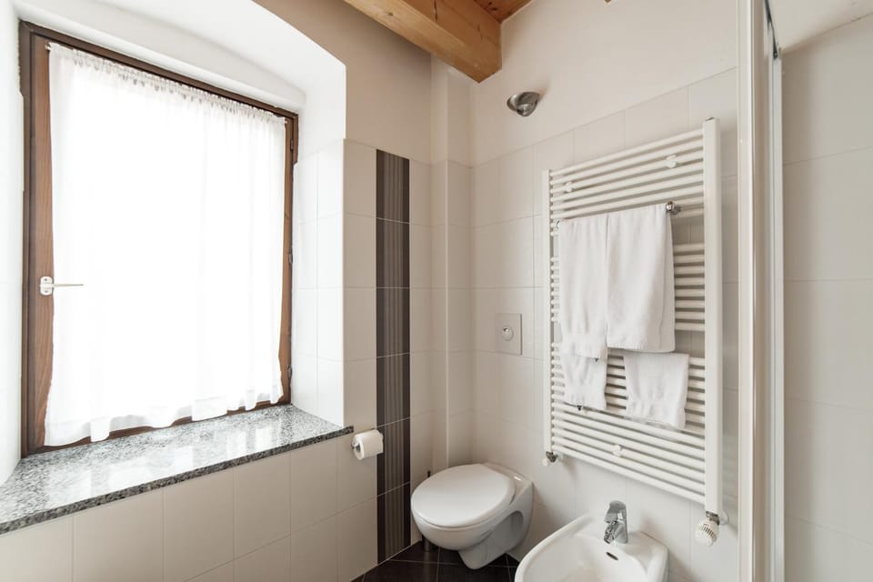 Shower, Toilet, bidet, towels