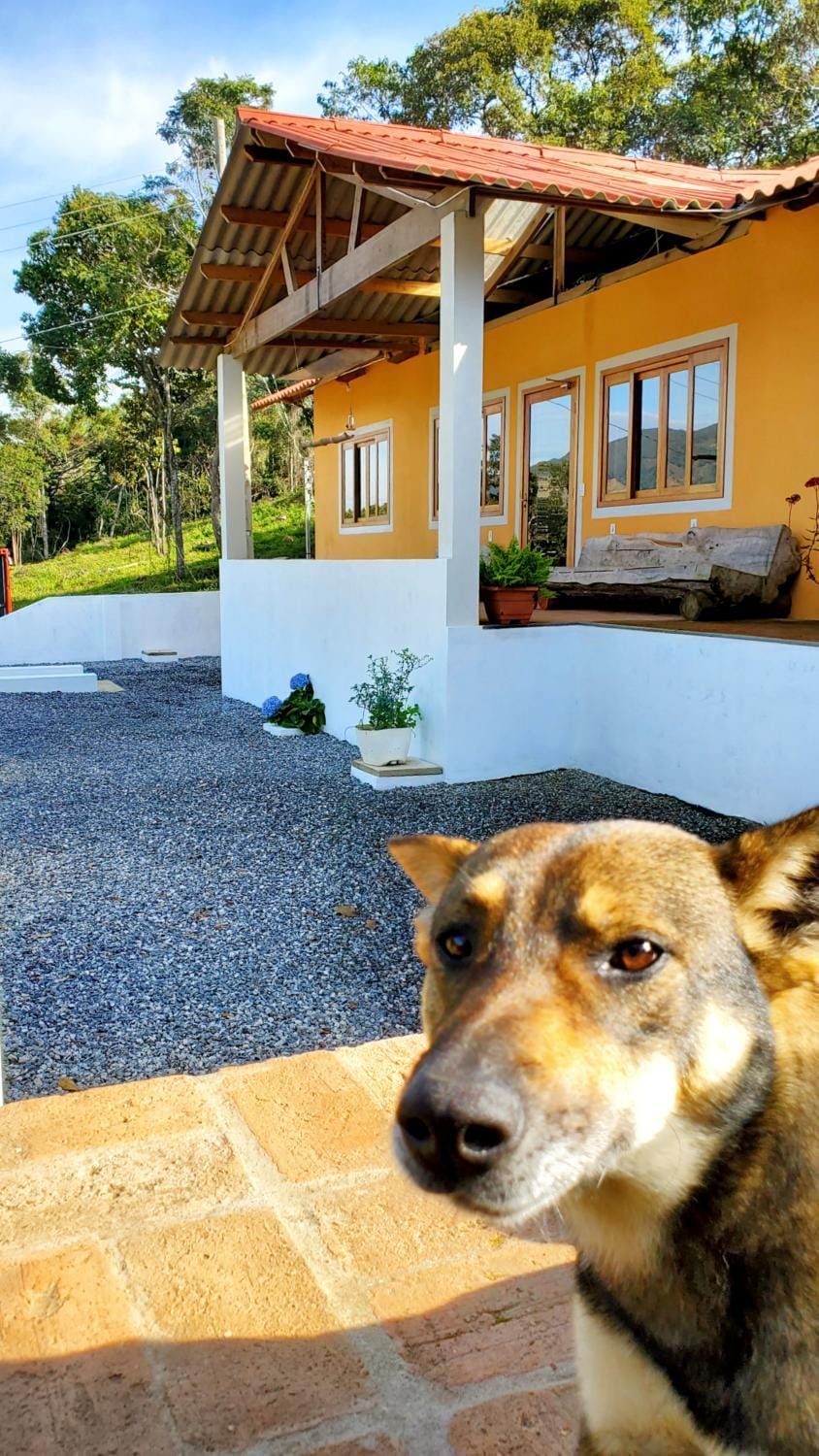 Property building, Facade/entrance, Pets