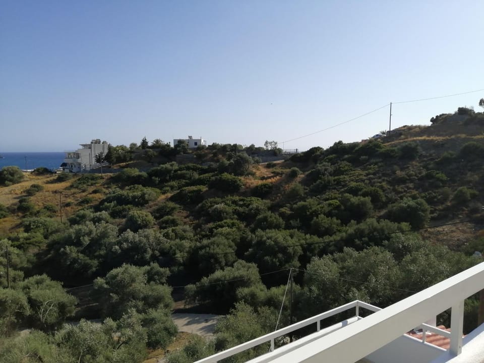 Eleonas Apartment in Crete