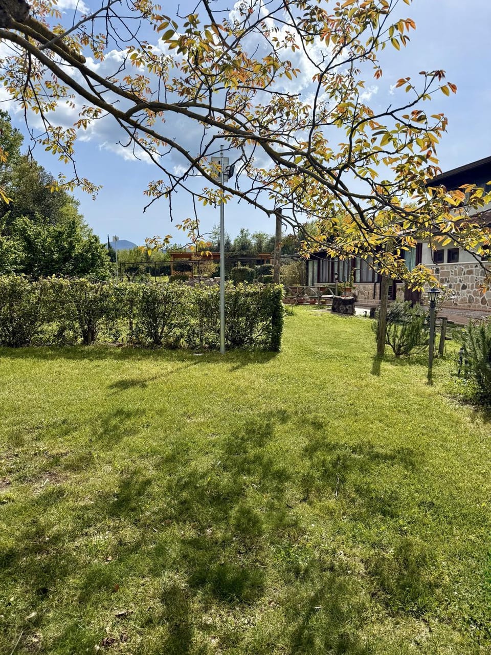 Garden view