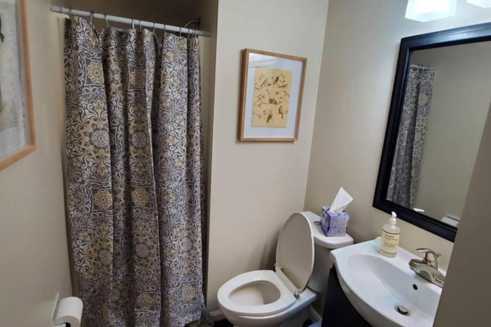 Shower, Toilet, Bathroom, Bath