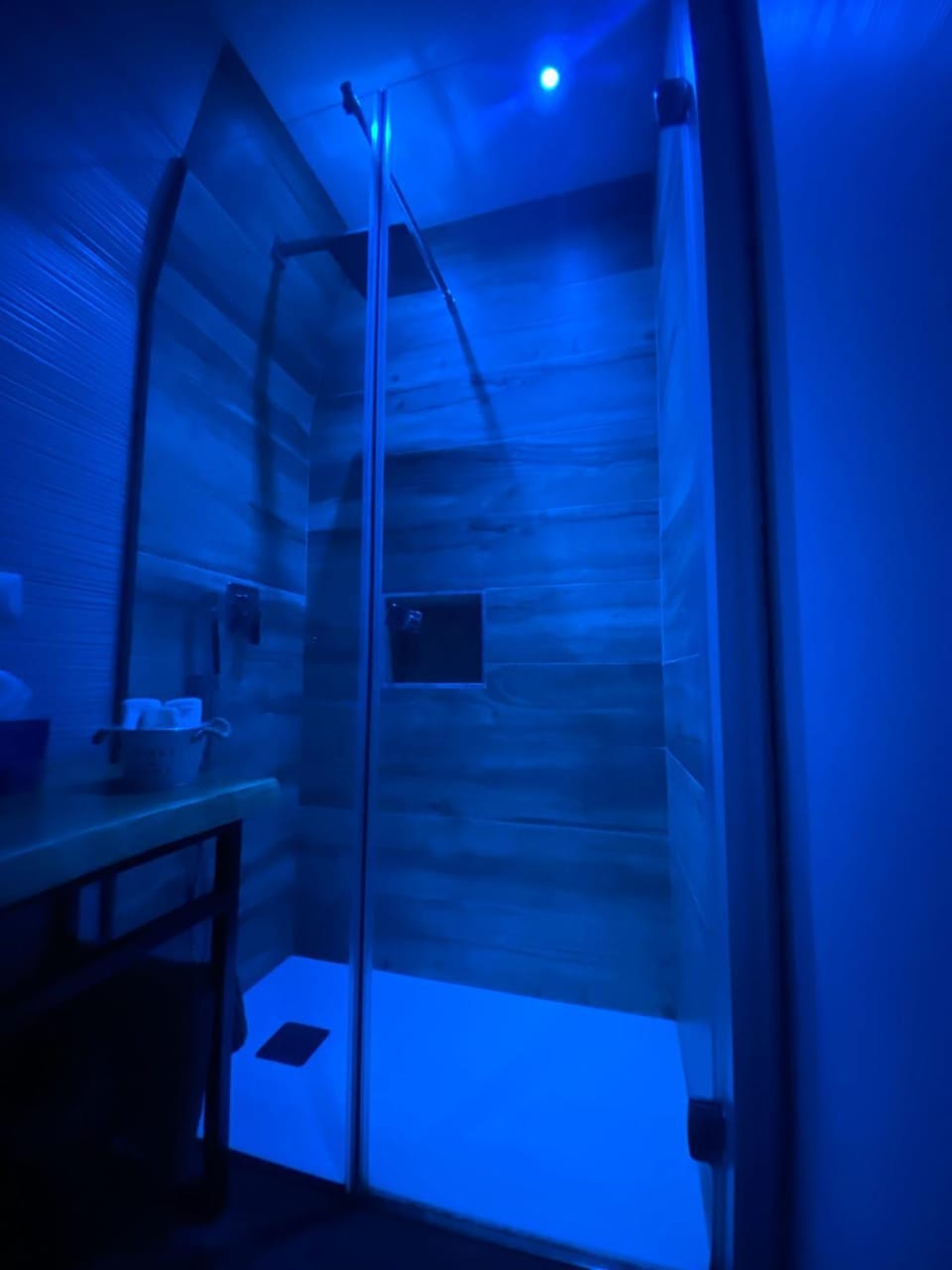Shower, Bathroom, Photo of the whole room, Internal: Not applicable to any particular room