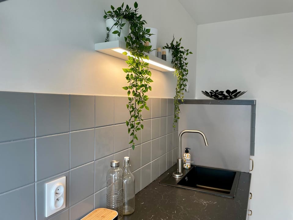 Kitchen or kitchenette, kitchen