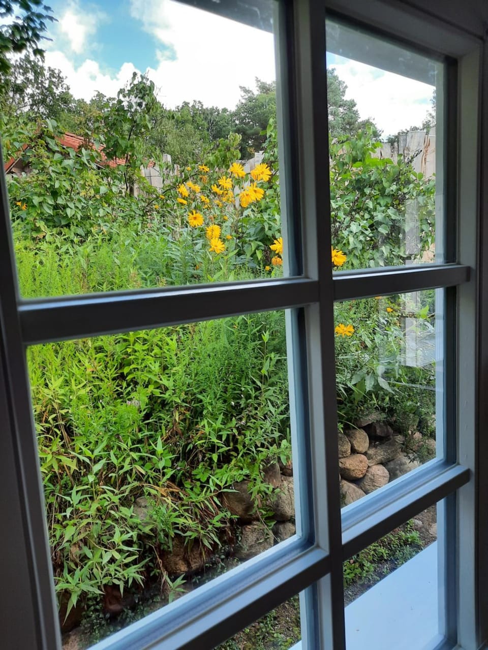Garden view
