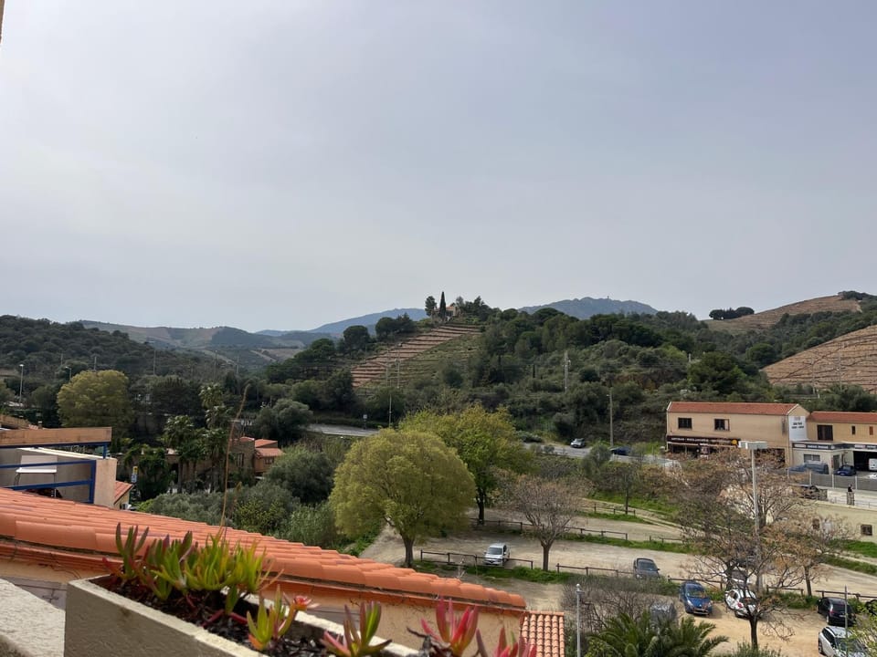 Mountain view