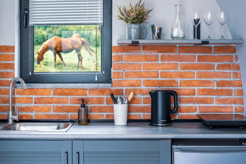 Coffee/tea facilities, Kitchen or kitchenette
