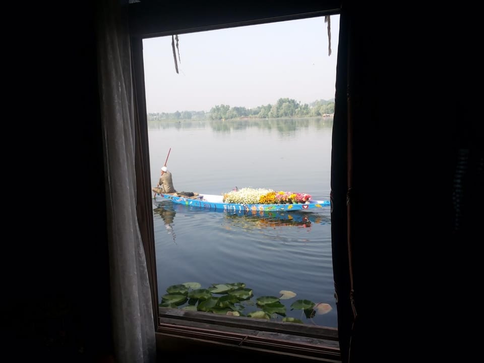 Lake view