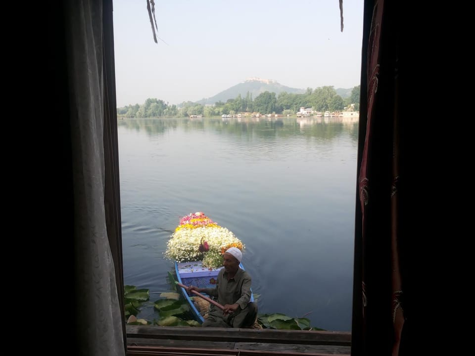 Lake view