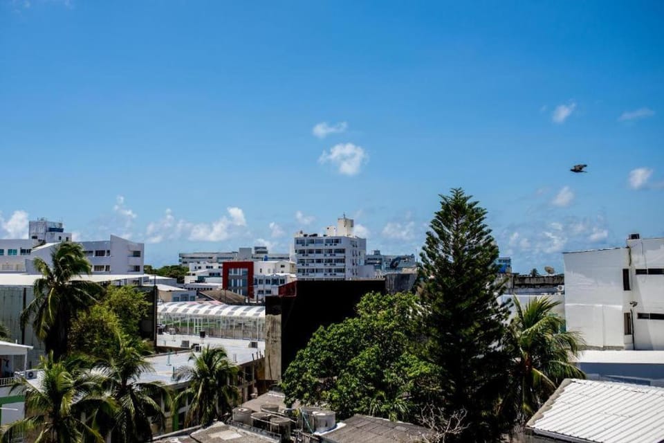 City view