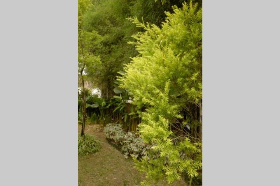 The Pines Vimala Hills Villa in West Java