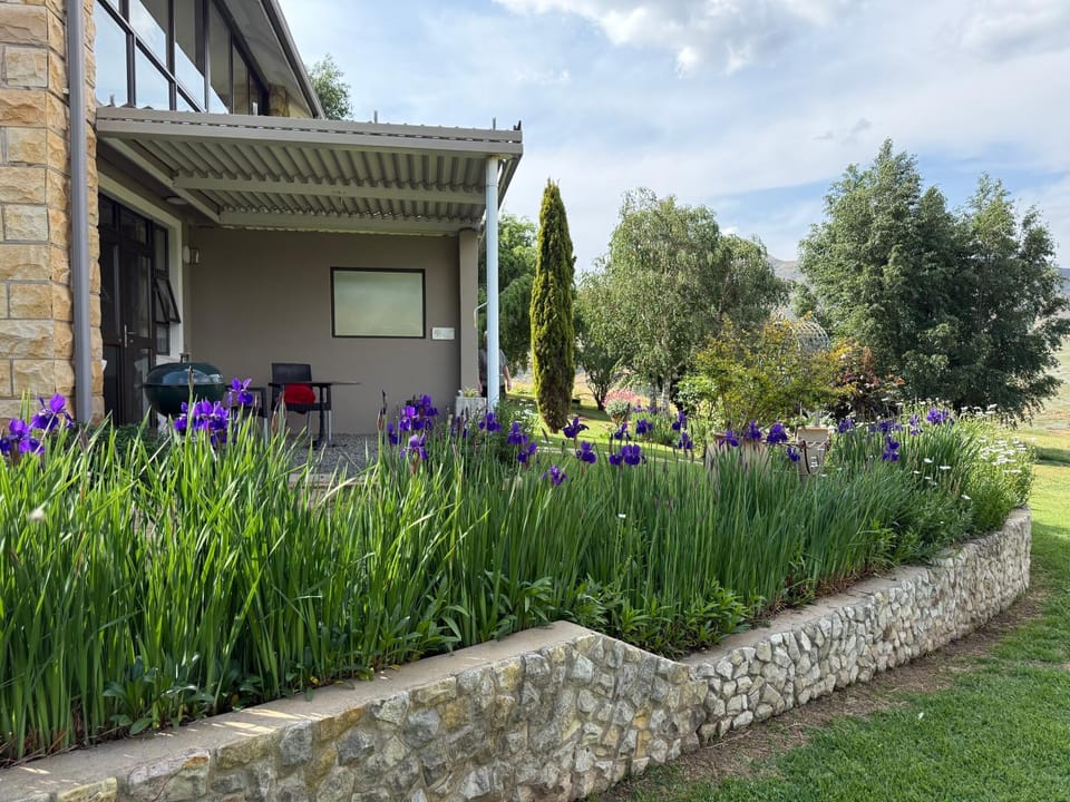 Garden view