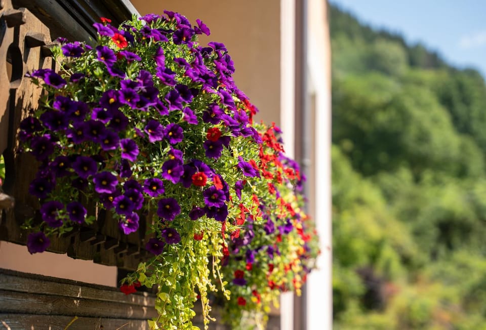 Appartement Schlosser Apartment in Zell am See