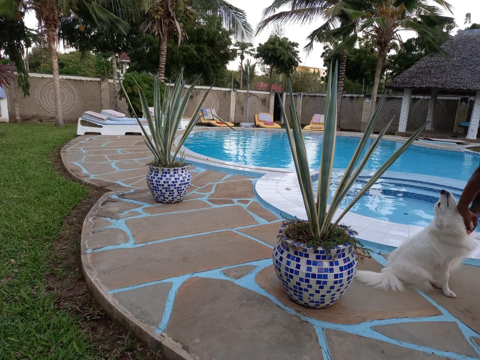 Swimming pool