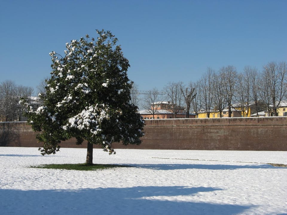 Le MURA MEDIEVALI Apartment in Capannori