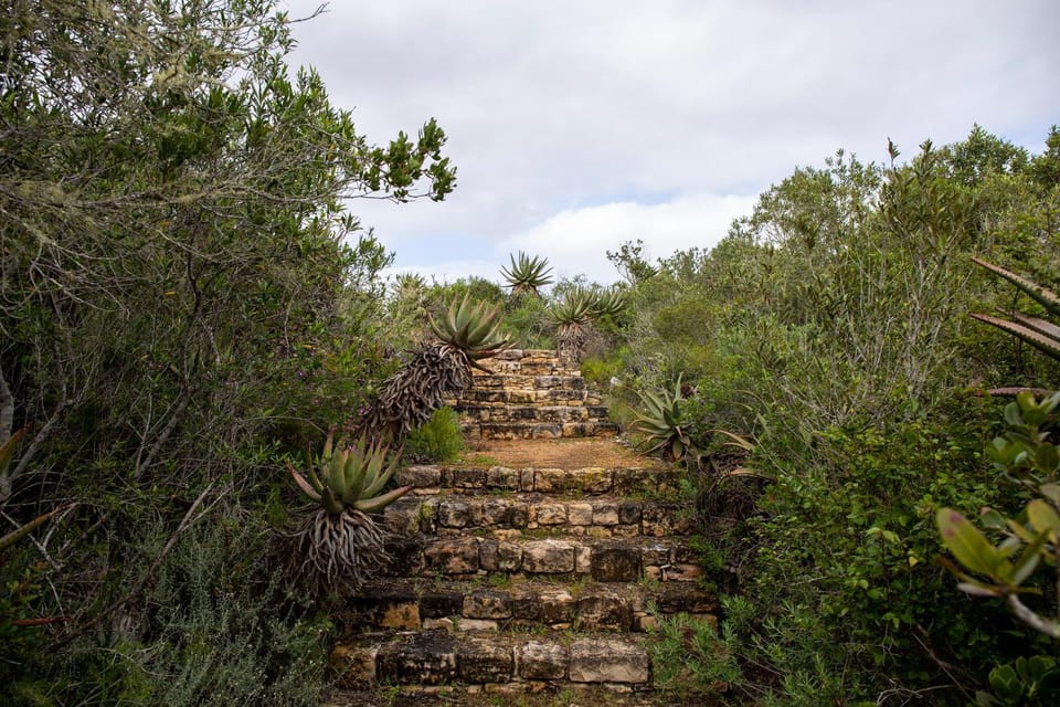 Hiking