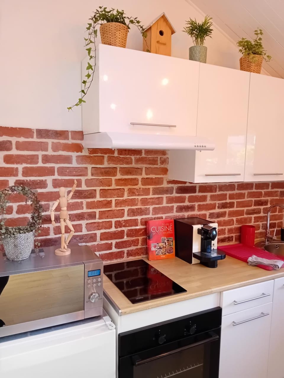 Coffee/tea facilities, Kitchen or kitchenette, pet friendly, stove, toaster