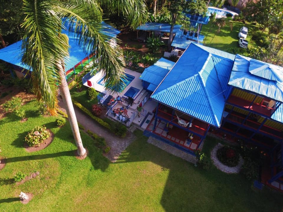 Bird's eye view, Swimming pool