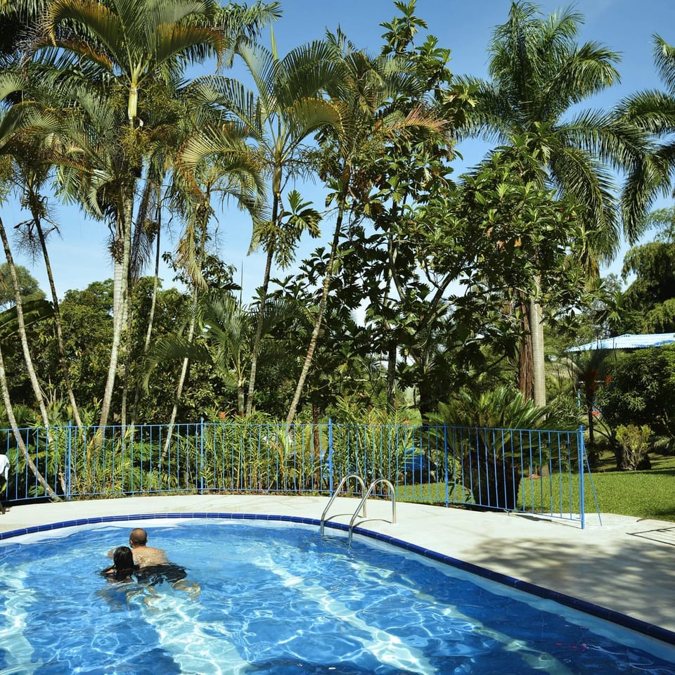 People, Swimming pool, Swimming pool