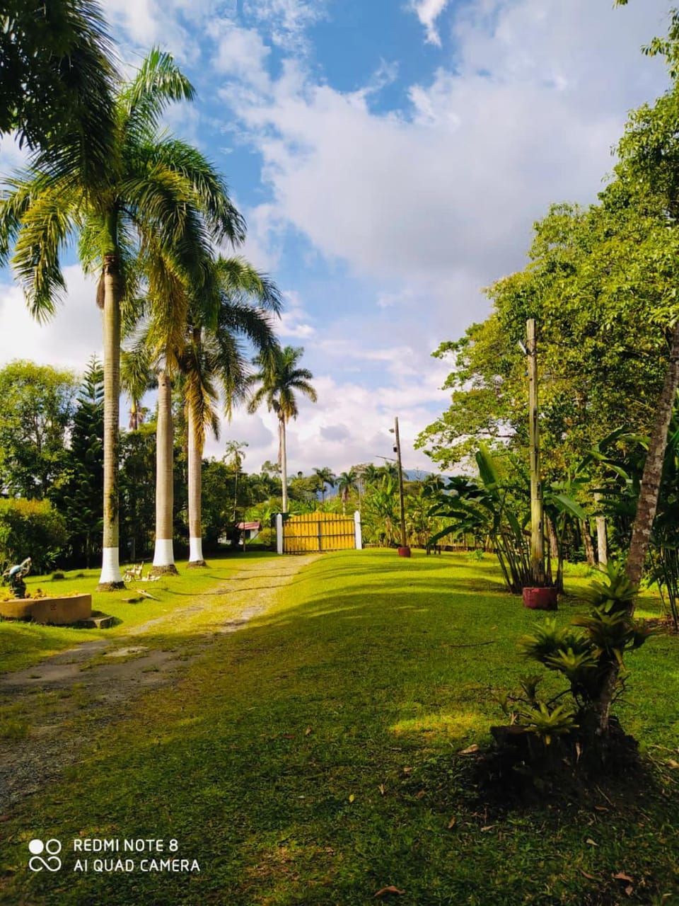 Garden view
