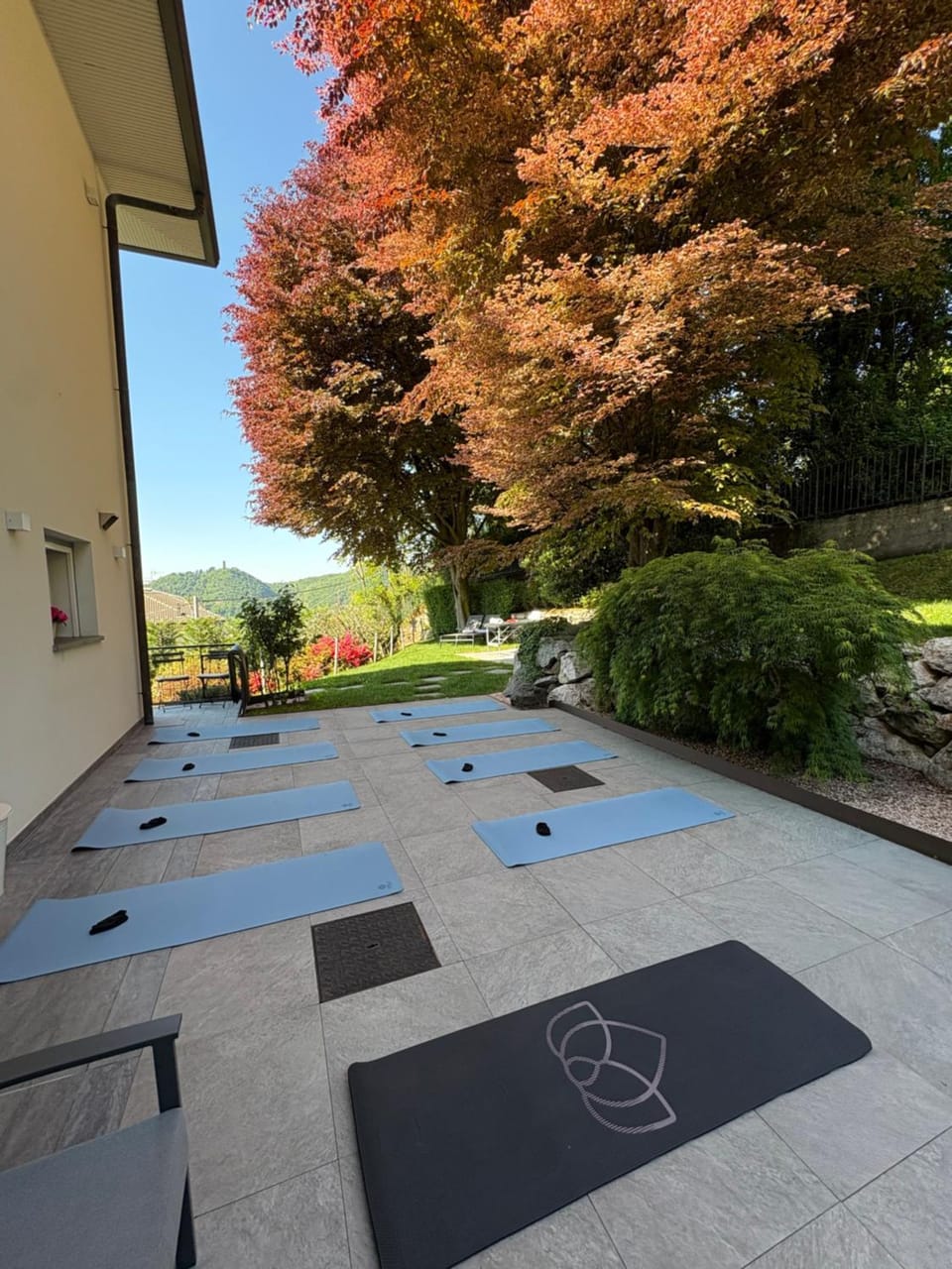i FAGGI ROSSI - RED BEECH TREES House in Como