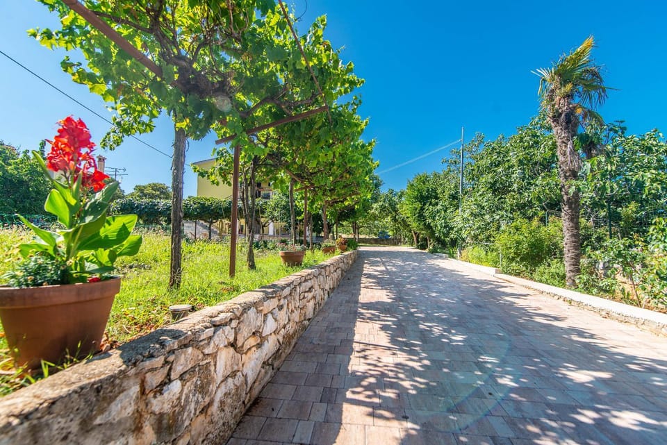 Property building, Facade/entrance, Garden, Garden view