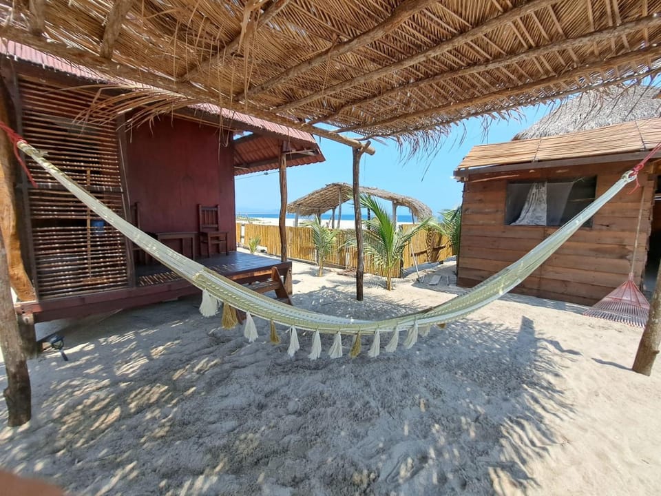 Patio, Day, Natural landscape