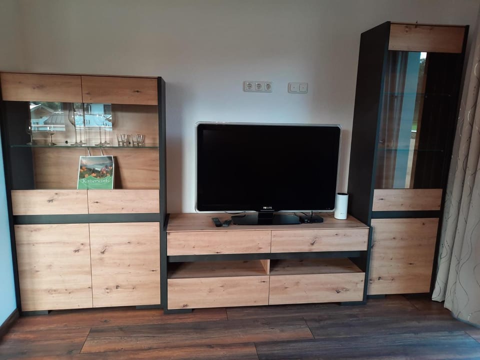 TV and multimedia