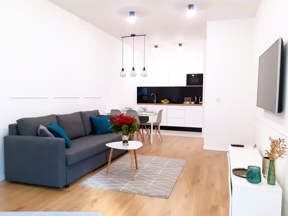 Living room, kitchen
