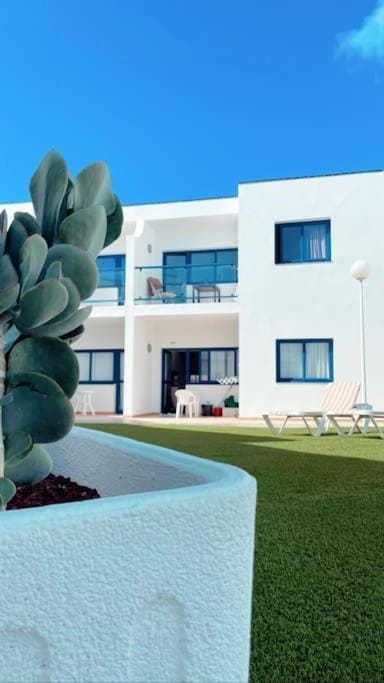 Property building, Day, Garden