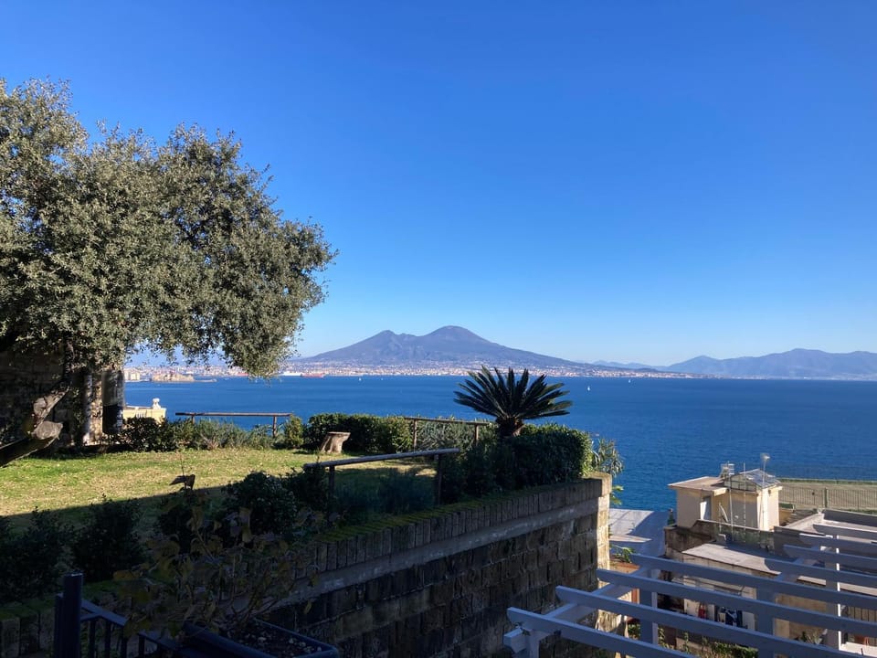 Garden, Sea view