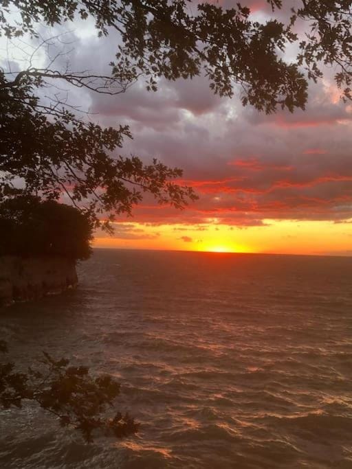 3778 East Lake Road House in Lake Erie