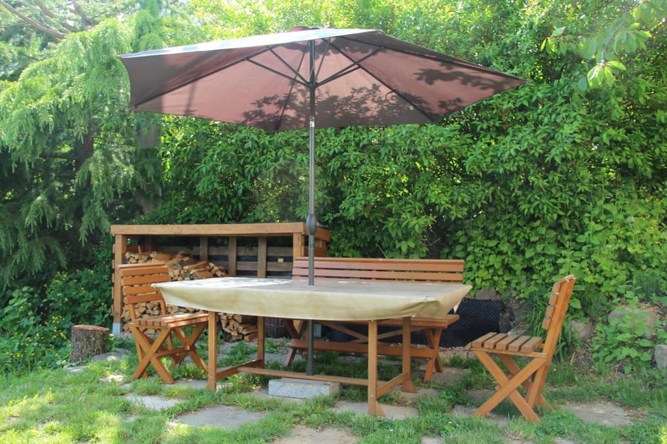 Patio, Garden, Garden view