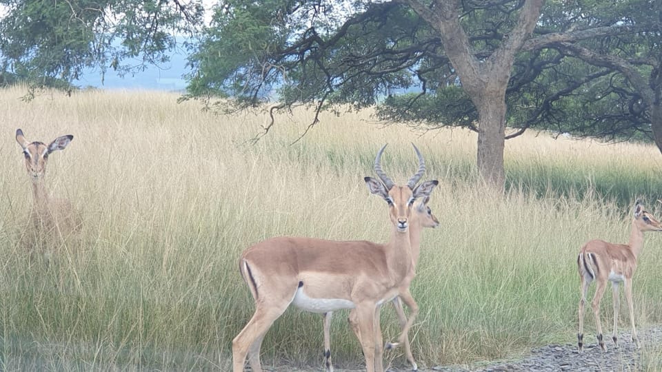 Verdant Valley Lodge Nature lodge in KwaZulu-Natal
