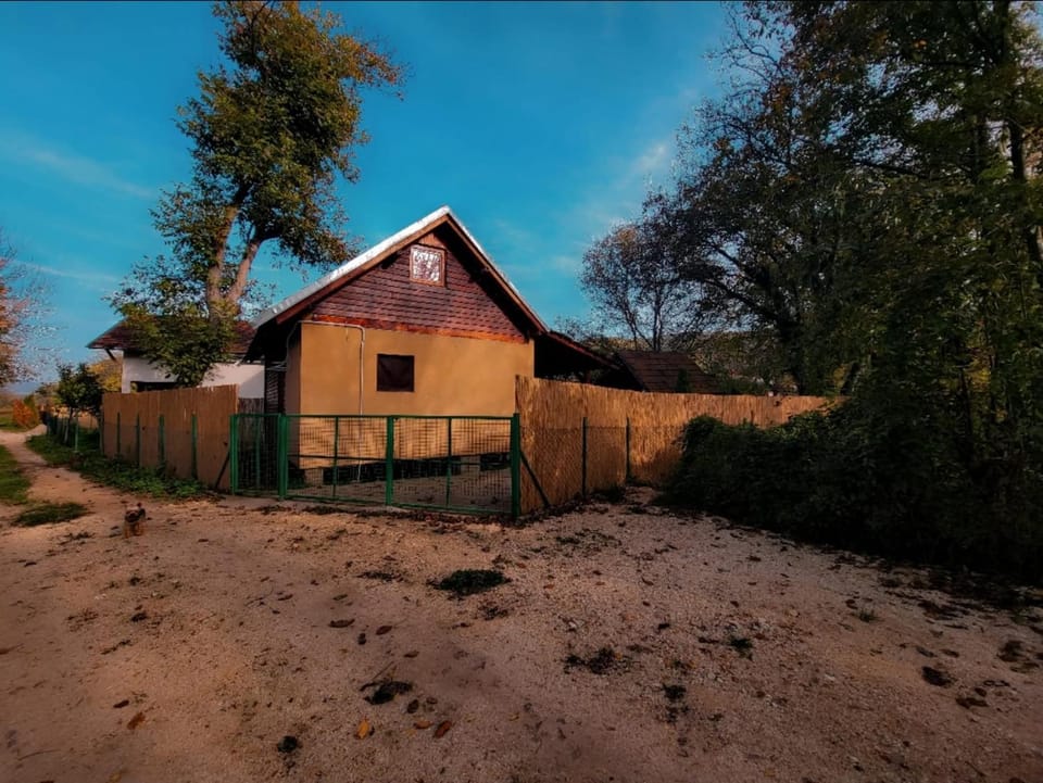 Radetov konak Chalet in Serbia