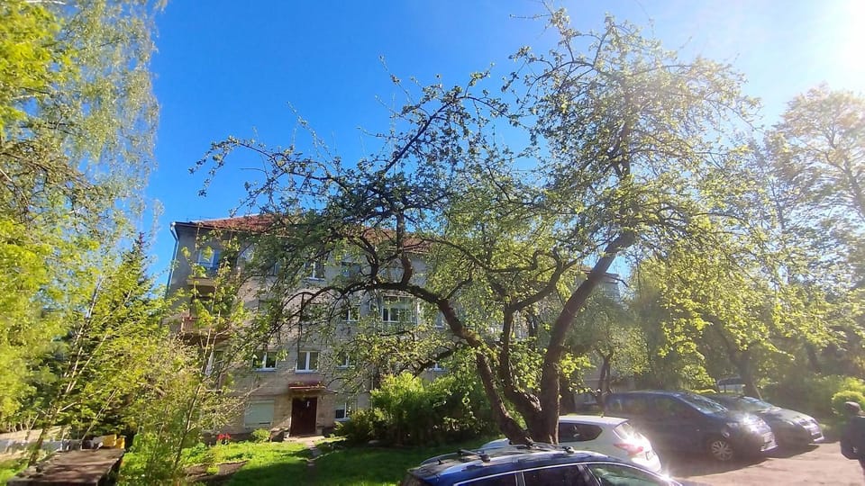 Trendy Old Town Area - Paupys Nature Treat & Free Parking Apartment in Vilnius