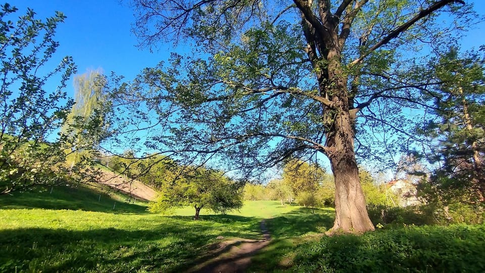 Trendy Old Town Area - Paupys Nature Treat & Free Parking Apartment in Vilnius