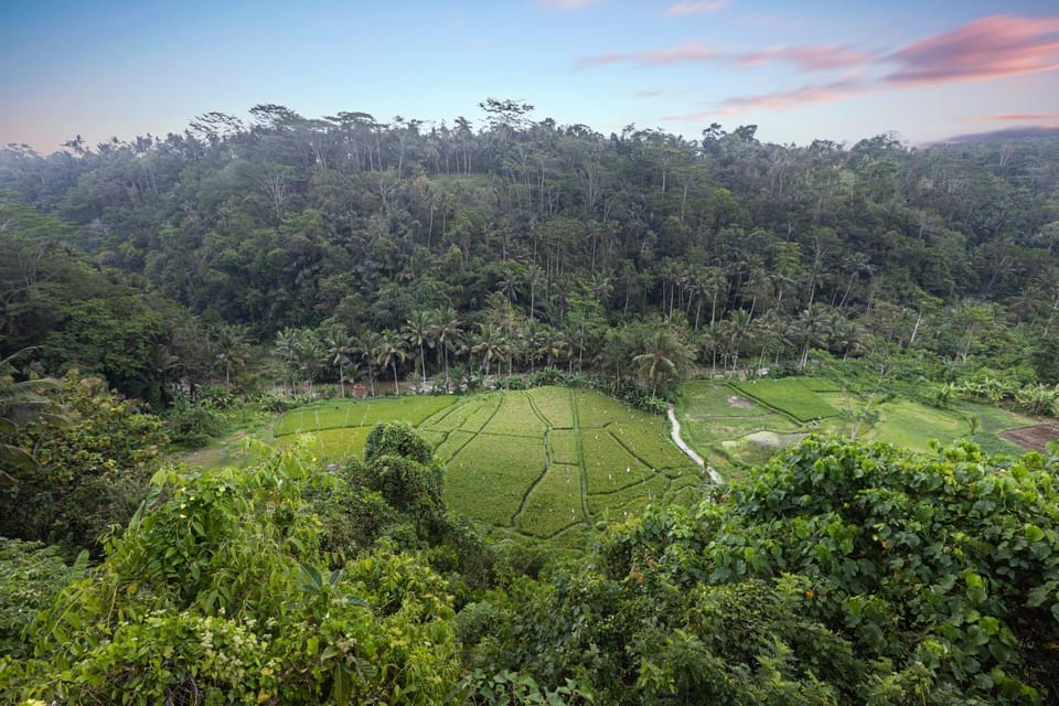 Natural landscape, View (from property/room), View (from property/room)