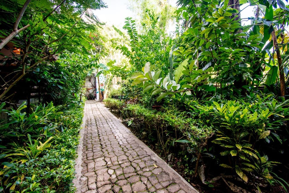 Garden, View (from property/room), Other, Garden view